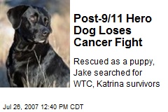 Post-9/11 Hero Dog Loses Cancer Fight