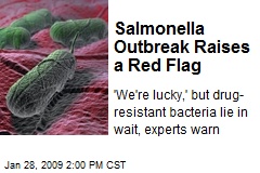 Salmonella Outbreak Raises a Red Flag