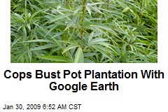 Cops Bust Pot Plantation With Google Earth