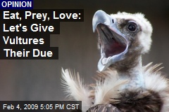 Eat, Prey, Love: Let's Give Vultures Their Due