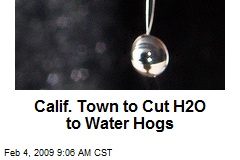 Calif. Town to Cut H2O to Water Hogs