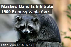 Masked Bandits Infiltrate 1600 Pennsylvania Ave.