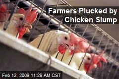 Farmers Plucked by Chicken Slump