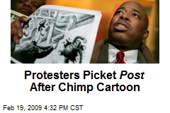 Protesters Picket Post After Chimp Cartoon