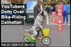 YouTubers Dotty Over Bike-Riding Dalmatian