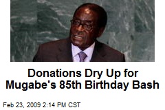 Donations Dry Up for Mugabe's 85th Birthday Bash