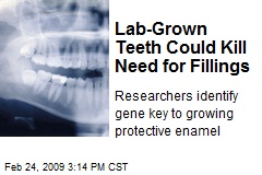 Lab-Grown Teeth Could Kill Need for Fillings