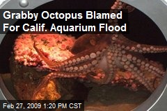 Grabby Octopus Blamed For Calif. Aquarium Flood