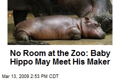 No Room at the Zoo: Baby Hippo May Meet His Maker