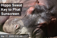 Hippo Sweat Key to Phat Sunscreen