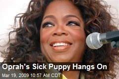 Oprah's Sick Puppy Hangs On