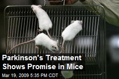 Parkinson's Treatment Shows Promise in Mice