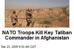 NATO Troops Kill Key Taliban Commander in Afghanistan