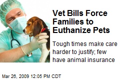 Vet Bills Force Families to Euthanize Pets