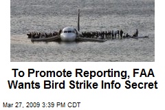 To Promote Reporting, FAA Wants Bird Strike Info Secret
