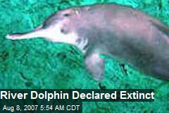 River Dolphin Declared Extinct