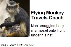 Flying Monkey Travels Coach