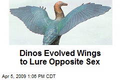 Dinos Evolved Wings to Lure Opposite Sex