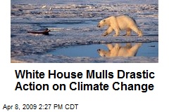 White House Mulls Drastic Action on Climate Change