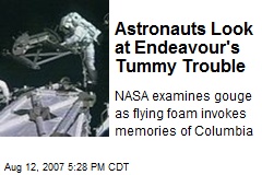 Astronauts Look at Endeavour's Tummy Trouble