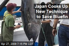 Japan Cooks Up New Technique to Save Bluefin