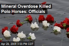 Mineral Overdose Killed Polo Horses: Officials