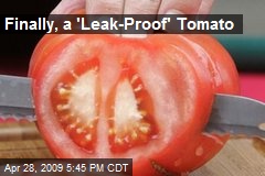 Finally, a 'Leak-Proof' Tomato