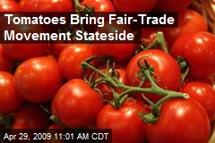 Tomatoes Bring Fair-Trade Movement Stateside