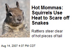 Hot Mommas: Squirrels Use Heat to Scare off Snakes