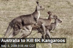 Australia to Kill 6K Kangaroos