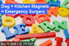 Dog + Kitchen Magnets = Emergency Surgery
