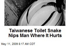 Taiwanese Toilet Snake Nips Man Where It Hurts