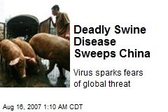 Deadly Swine Disease Sweeps China