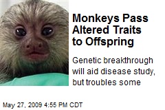 Monkeys Pass Altered Traits to Offspring