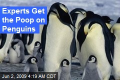 Experts Get the Poop on Penguins