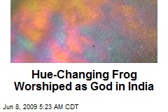 Hue-Changing Frog Worshiped as God in India