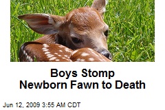 Boys Stomp Newborn Fawn to Death