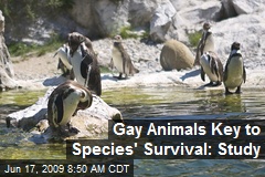 Gay Animals Key to Species' Survival: Study