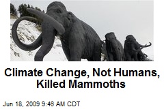 Climate Change, Not Humans, Killed Mammoths