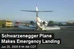 Schwarzenegger Plane Makes Emergency Landing