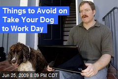 Things to Avoid on Take Your Dog to Work Day