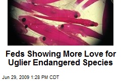 Feds Showing More Love for Uglier Endangered Species