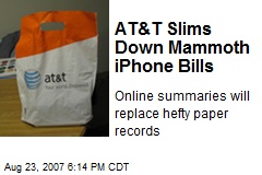 AT&amp;T Slims Down Mammoth iPhone Bills