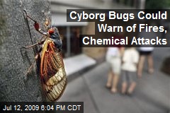 Cyborg Bugs Could Warn of Fires, Chemical Attacks