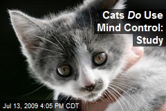 Cats Do Use Mind Control: Study