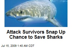 Attack Survivors Snap Up Chance to Save Sharks