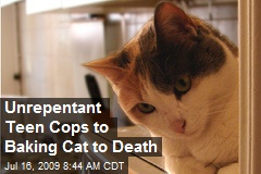 Unrepentant Teen Cops to Baking Cat to Death