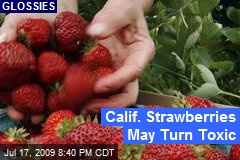 Calif. Strawberries May Turn Toxic