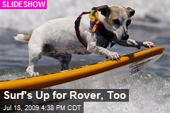 Surf's Up for Rover, Too