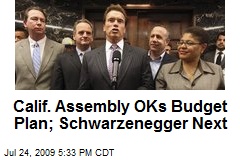 Calif. Assembly OKs Budget Plan; Schwarzenegger Next